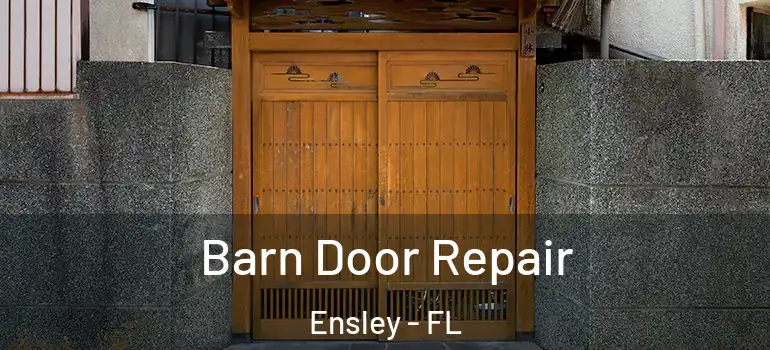 Barn Door Repair Ensley - FL