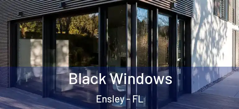 Black Windows Ensley - FL