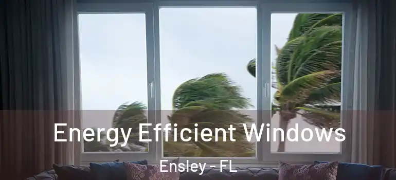 Energy Efficient Windows Ensley - FL