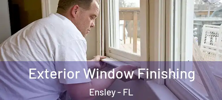 Exterior Window Finishing Ensley - FL
