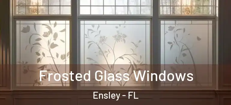Frosted Glass Windows Ensley - FL