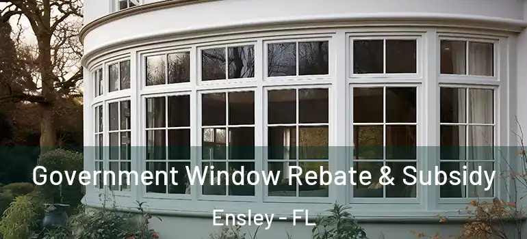 Government Window Rebate & Subsidy Ensley - FL