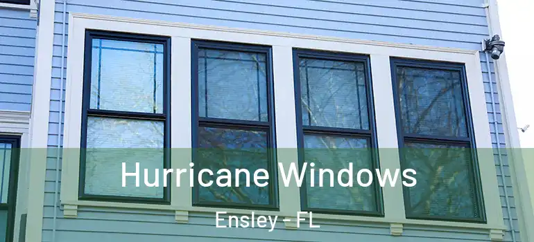 Hurricane Windows Ensley - FL
