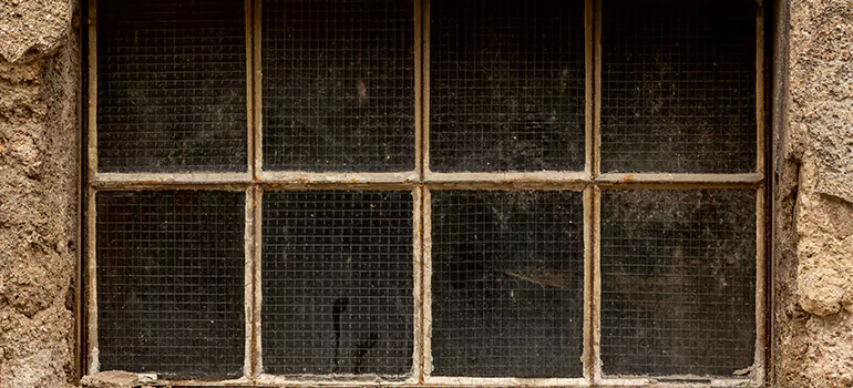 Traditional Double Front Doors in Ensley, FL