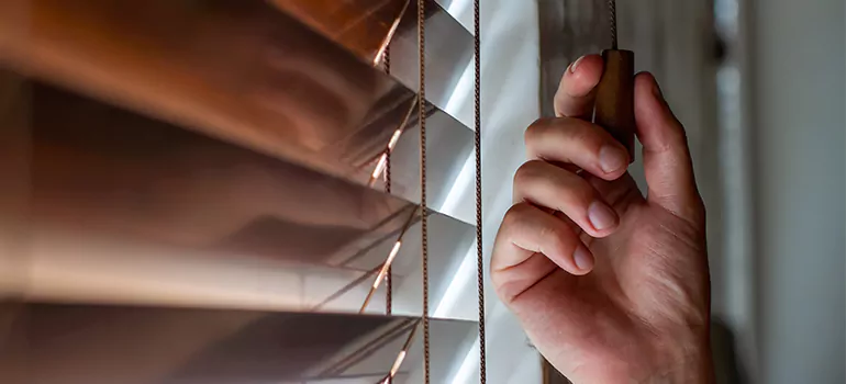 Double Roller Blinds in Ensley, FL