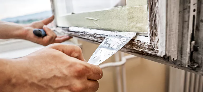 Exterior Window Frame Repair in Ensley, FL