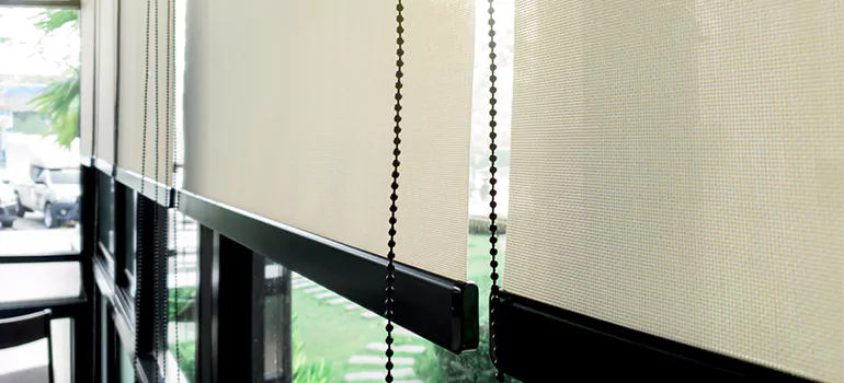 Blackout Window Shades in Ensley, FL