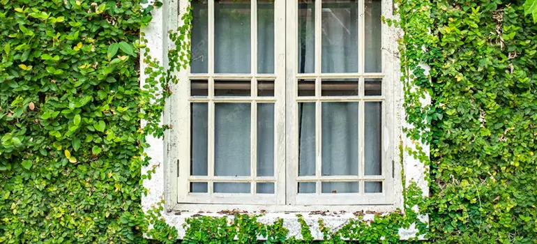 Garden Window Repair Near Me in Ensley, FL