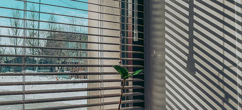 Commercial Window Blinds in Ensley, FL