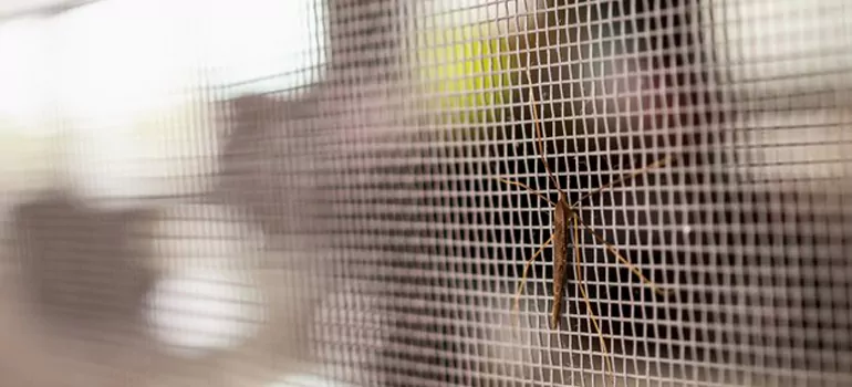 Repair Mosquito Mesh For Windows in Ensley, FL