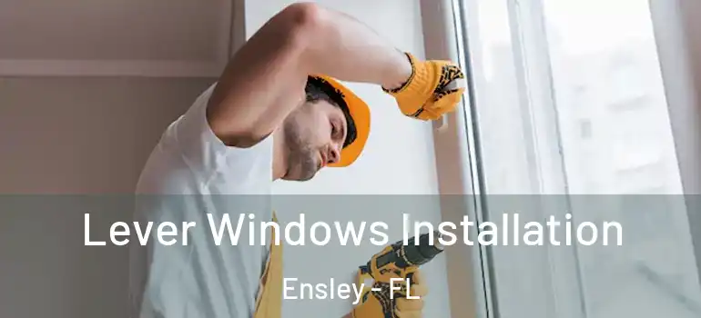 Lever Windows Installation Ensley - FL