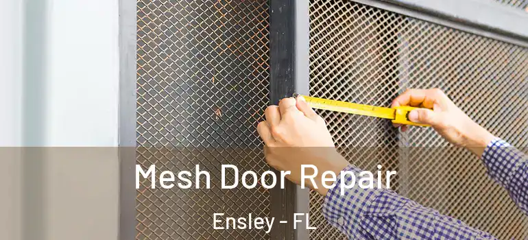 Mesh Door Repair Ensley - FL