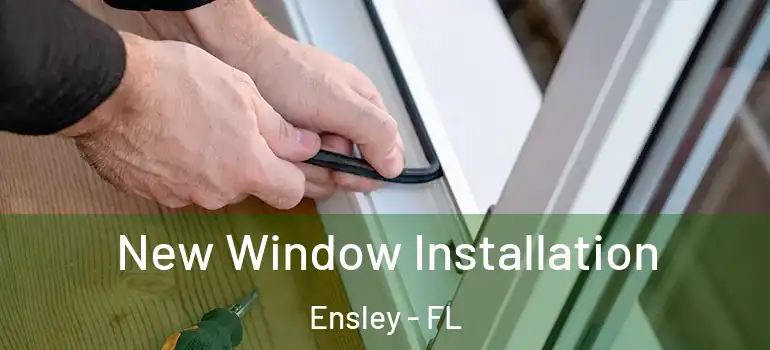 New Window Installation Ensley - FL