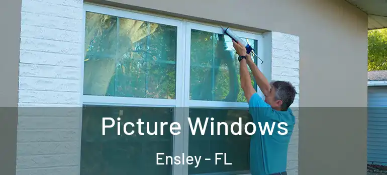 Picture Windows Ensley - FL