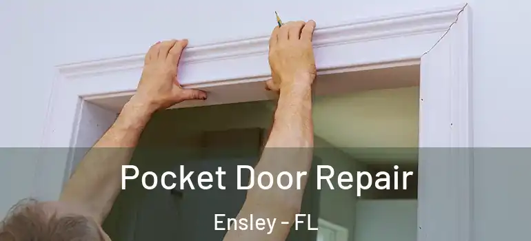 Pocket Door Repair Ensley - FL
