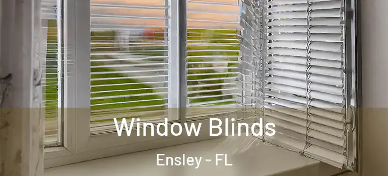 Window Blinds Ensley - FL