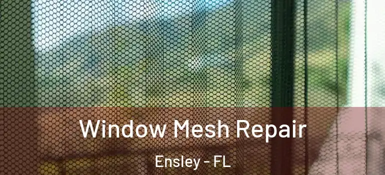 Window Mesh Repair Ensley - FL
