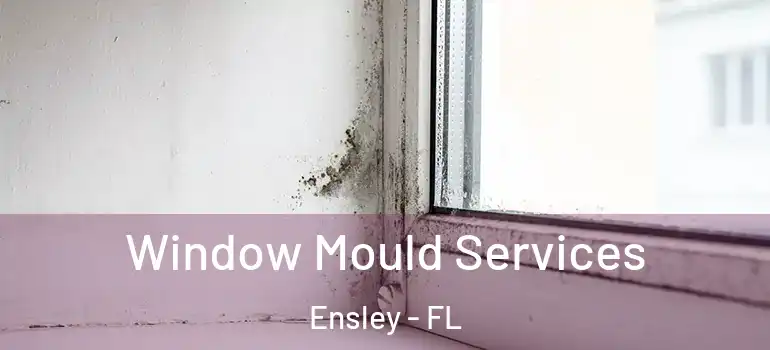 Window Mould Services Ensley - FL