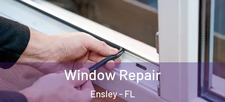 Window Repair Ensley - FL